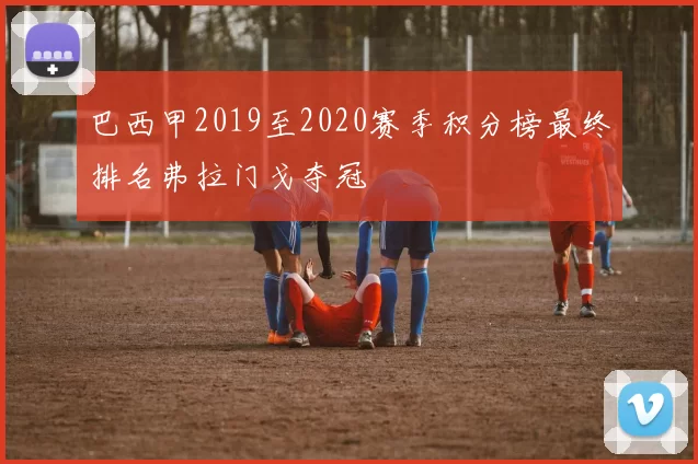 巴西甲2019至2020赛季积分榜最终排名弗拉门戈夺冠