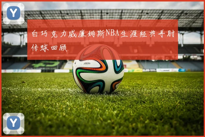 白巧克力威廉姆斯NBA生涯经典手肘传球回顾