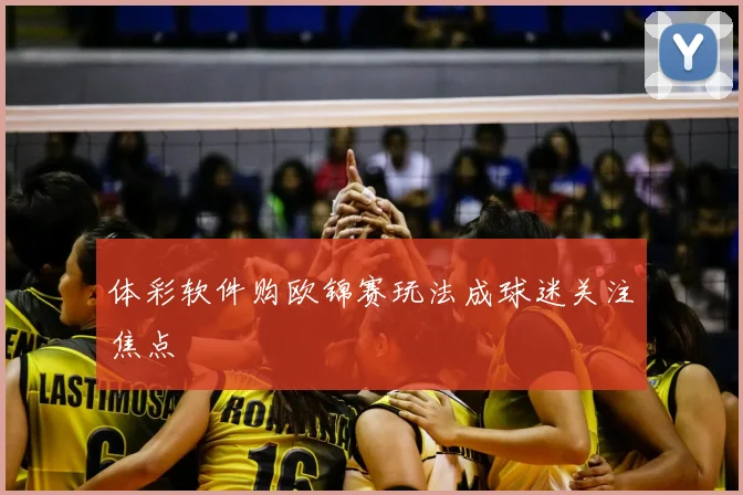体彩软件购欧锦赛玩法成球迷关注焦点