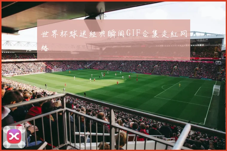 世界杯球迷经典瞬间GIF合集走红网络
