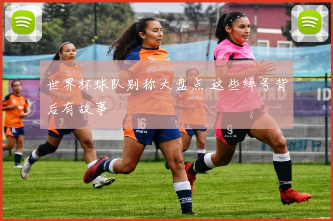 世界杯球队别称大盘点 这些绰号背后有故事