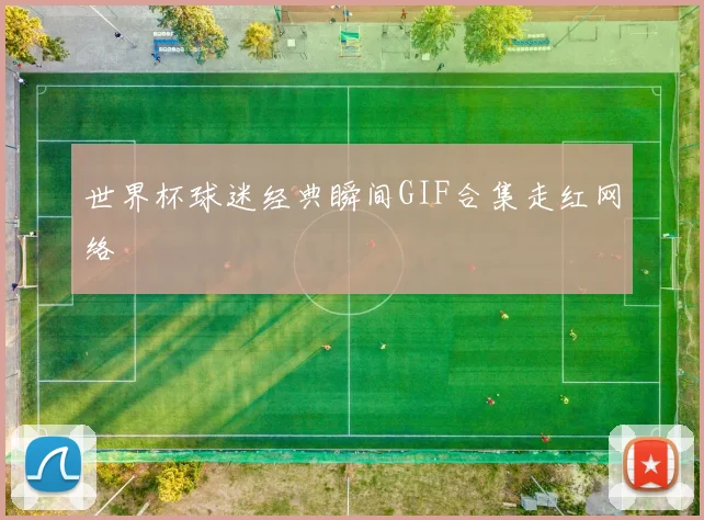 世界杯球迷经典瞬间GIF合集走红网络