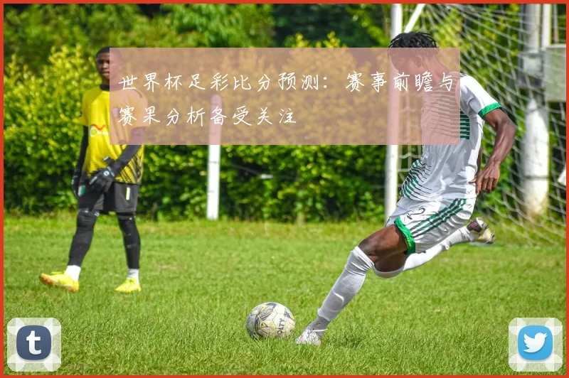 世界杯足彩比分预测：赛事前瞻与赛果分析备受关注